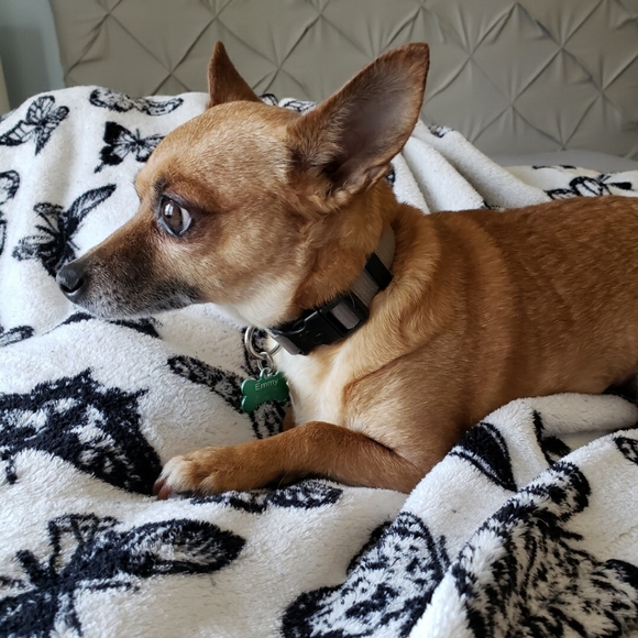 Meet your Posher, Brittney - Picture 2 of 3